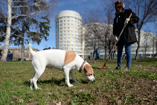 Russian nationwide volunteer clean-up day