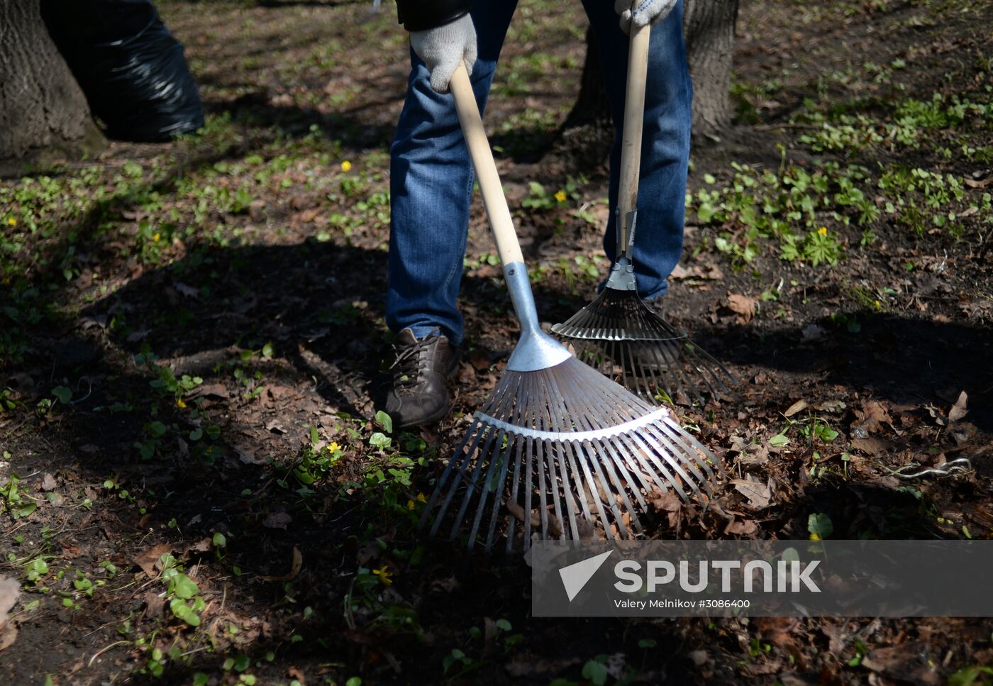 National Environmental Cleanup Day