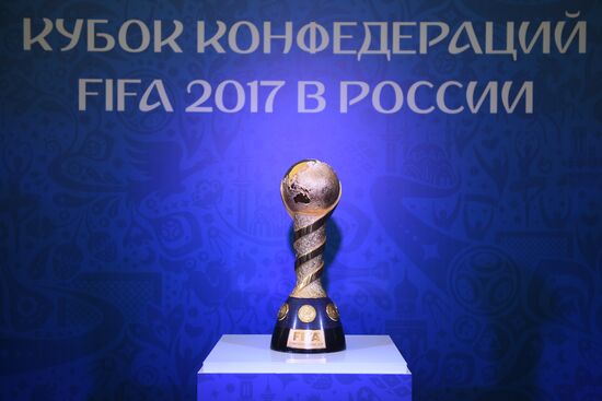 2017 FIFA Confederations Cup Park opened in Moscow