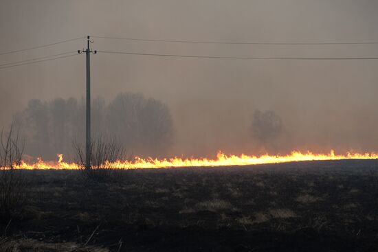 Wildfires in Novosibirsk Region