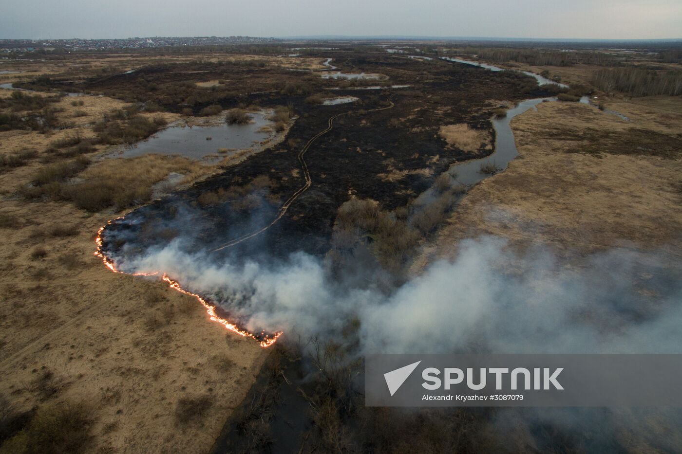 Wild fire in Novosibirsk Region