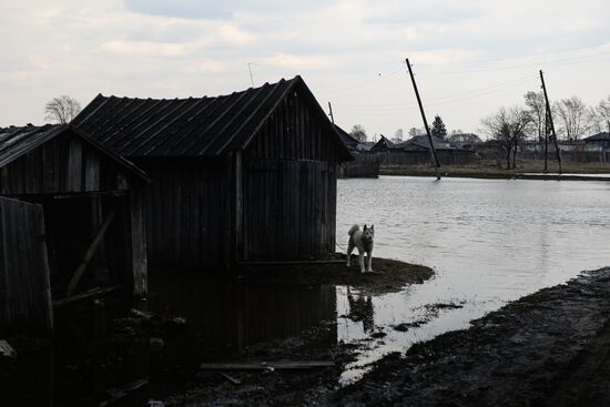 Spring flood in Novosibirsk region