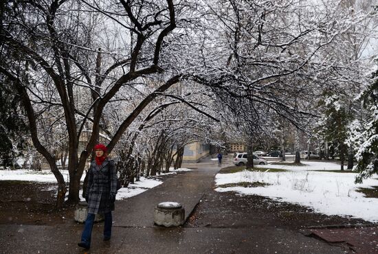May snow in Novosibirsk