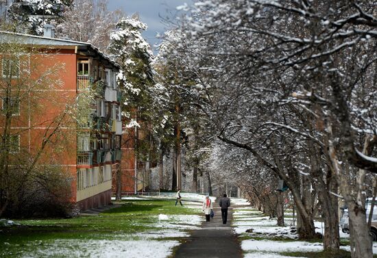 May snow in Novosibirsk
