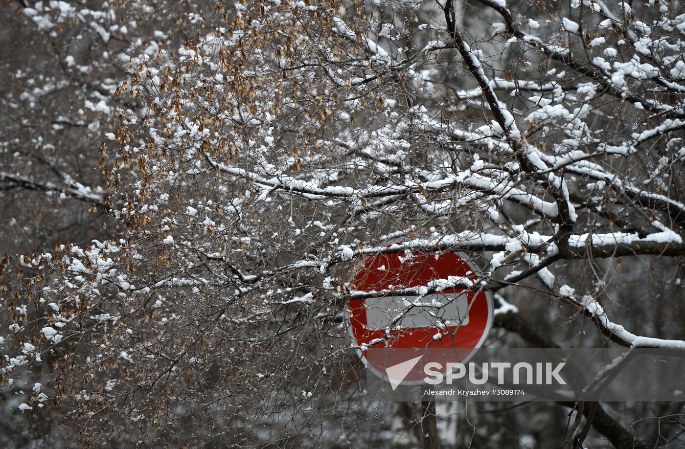 May snow in Novosibirsk