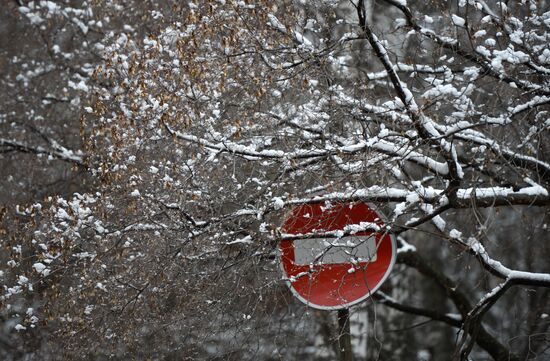 May snow in Novosibirsk