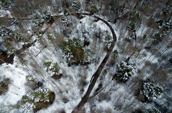 May snow in Novosibirsk