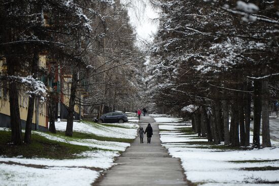 May snow in Novosibirsk