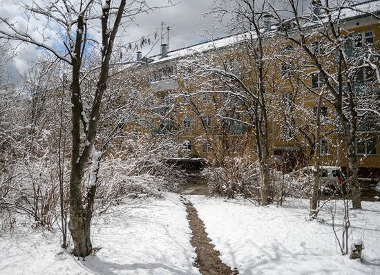 May snow in Novosibirsk