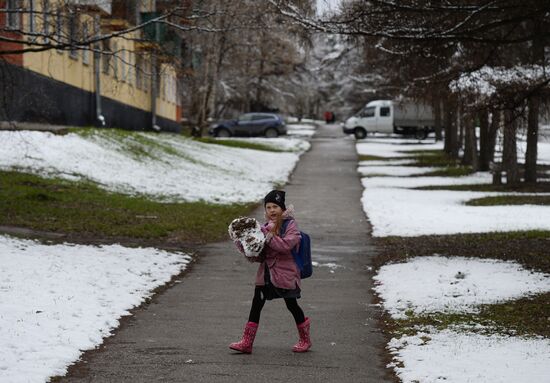 May snow in Novosibirsk