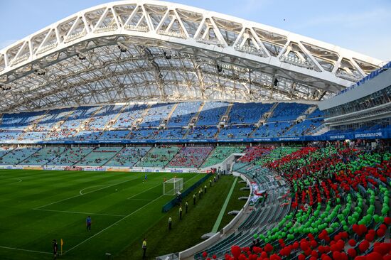 Football. Russian Cup. Final. Ural vs. Lokomotiv