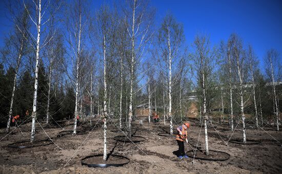 Zaryadye Park under construction