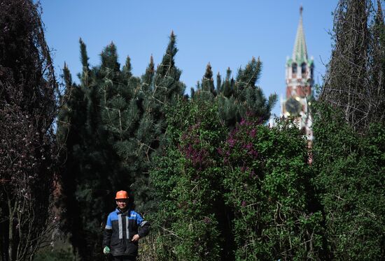 Zaryadye Park under construction