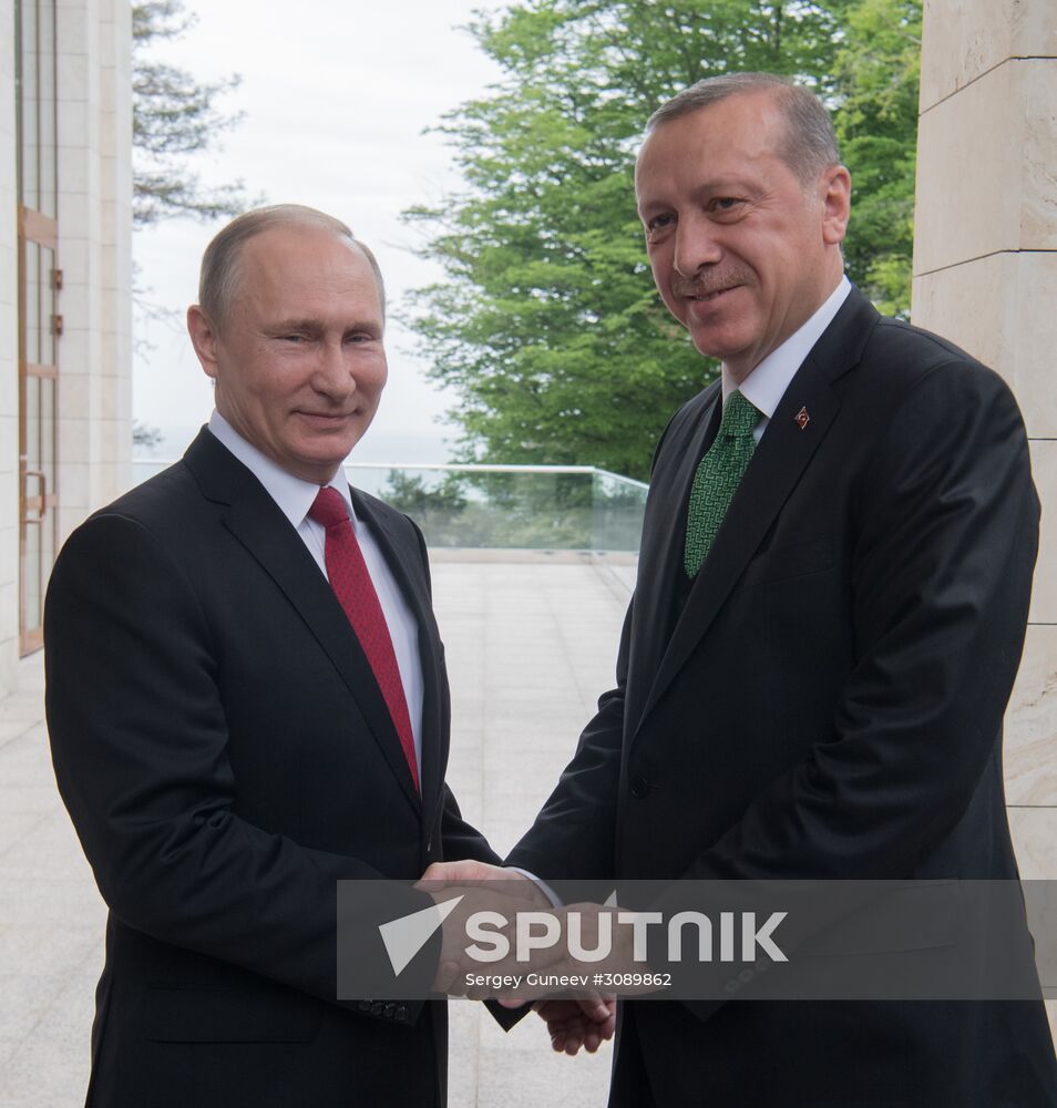 President Vladimir Putin meets with President of Turkey Recep Tayyip Erdogan