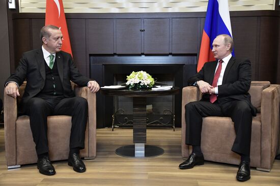 President Vladimir Putin meets with President of Turkey Recep Tayyip Erdogan