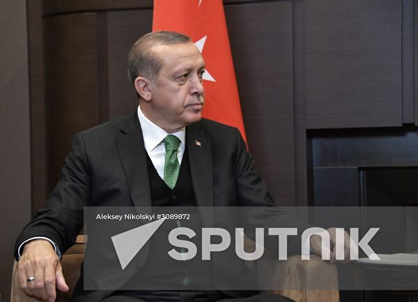 President Vladimir Putin meets with President of Turkey Recep Tayyip Erdogan