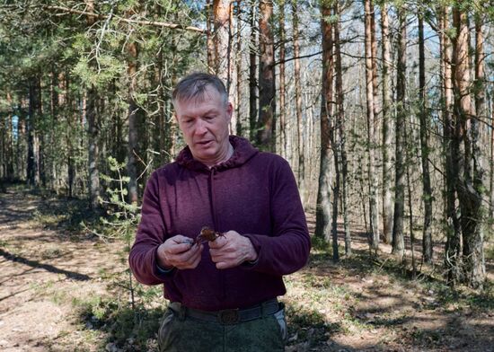 Toads rescue campaign in St. Petersburg
