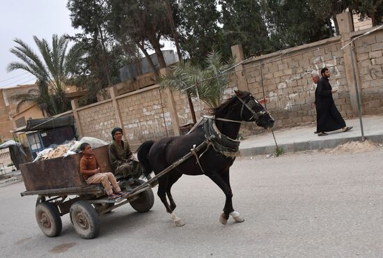 Situation in Deir ez-Zor, Syria