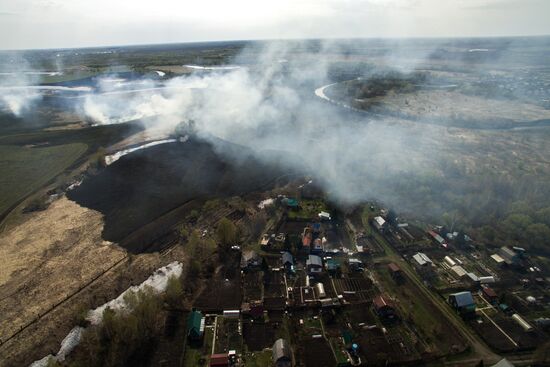 Wildfires in Altai Territory