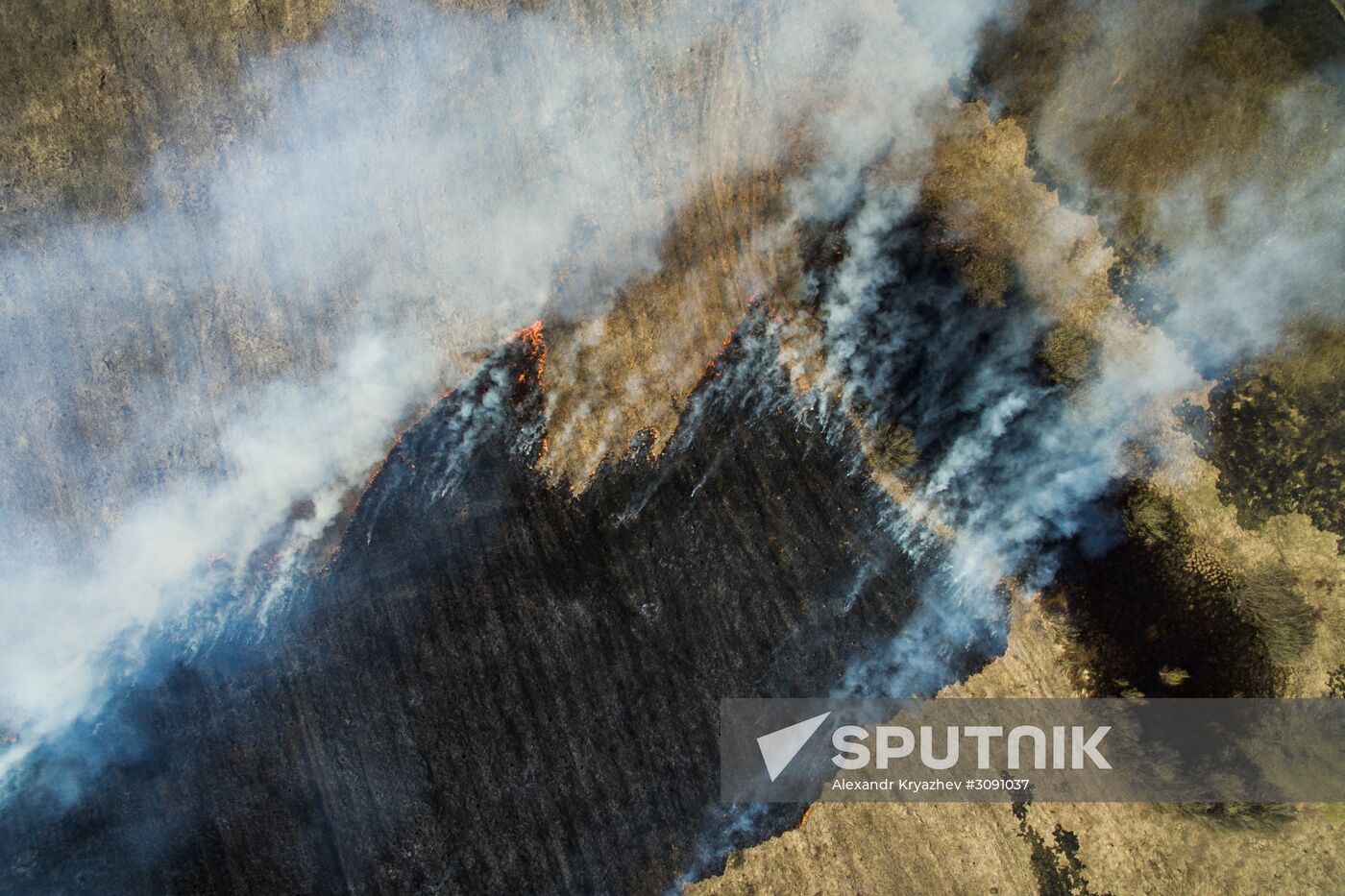 Wildfires in Altai Territory