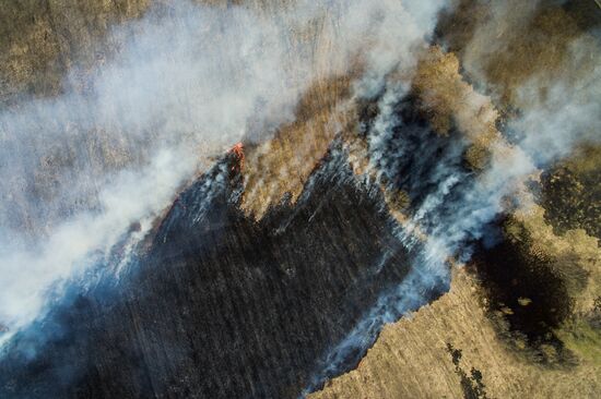 Wildfires in Altai Territory