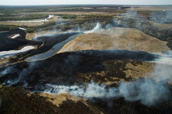 Wildfires in Altai Territory