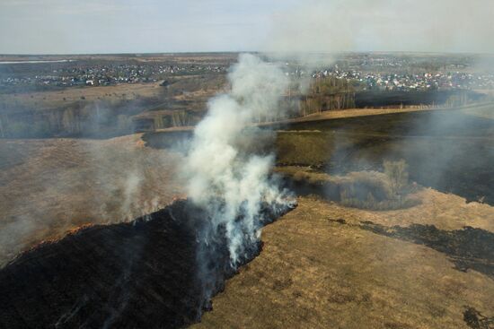 Wildfires in Altai Territory