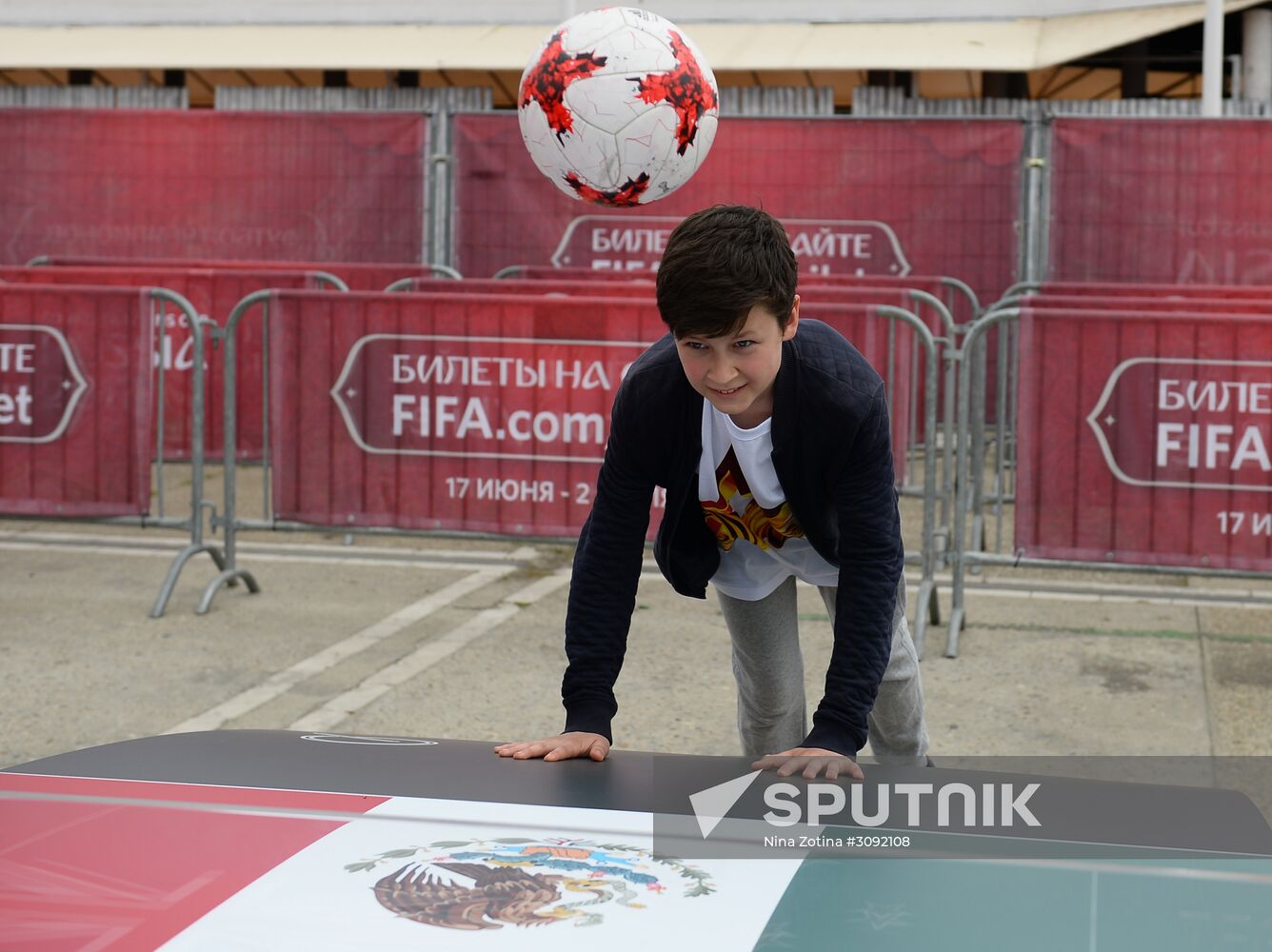 2017 Confederations Cup Park opened in Sochi