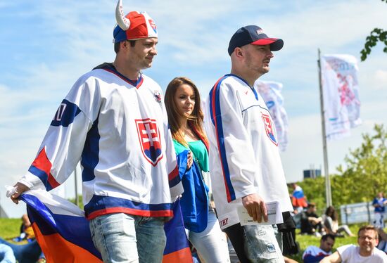 Ice Hockey World Championship. Slovakia vs. Italy