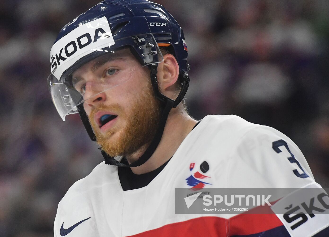 Ice Hockey World Championship. Slovakia vs. Italy