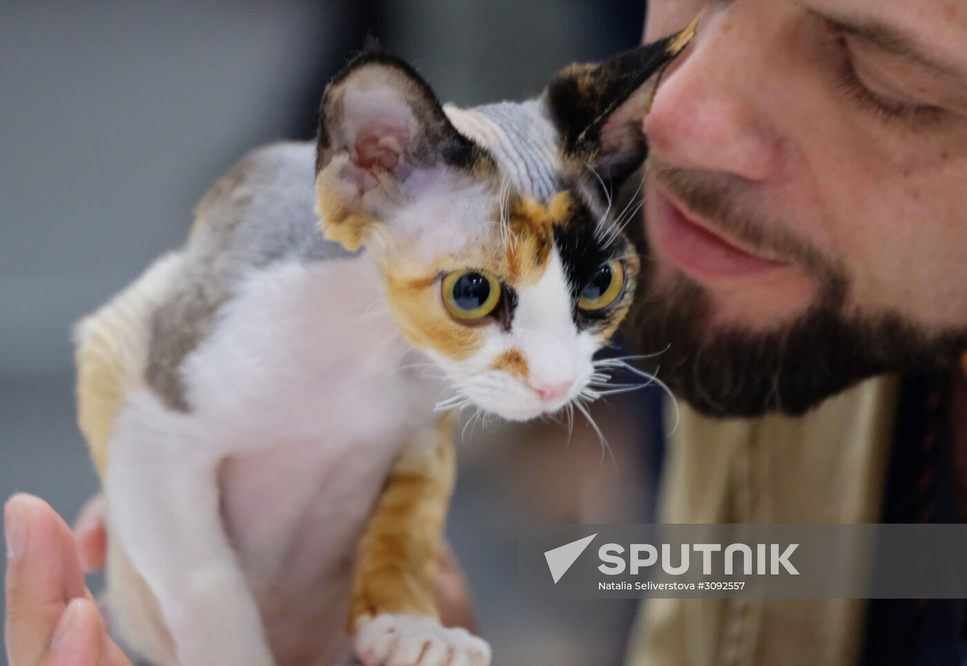 Valencia Cup Spring cat show