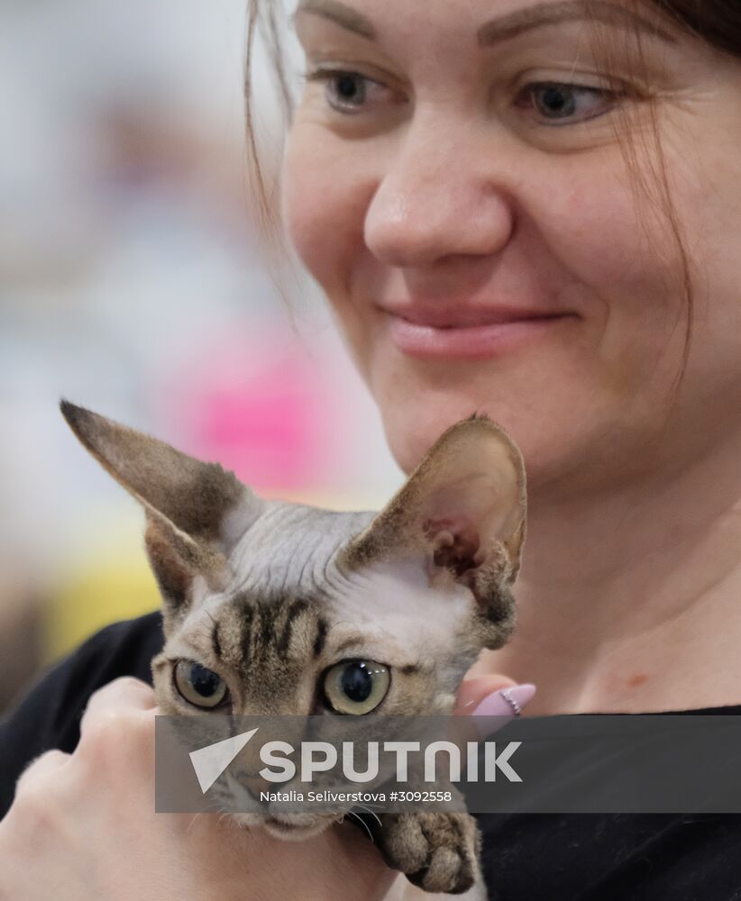 Valencia Cup Spring cat show