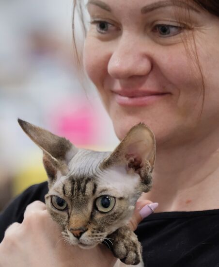 Valencia Cup Spring cat show