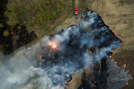 Wildfires in Altai Territory