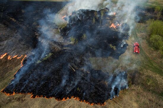 Wildfires in Altai Territory