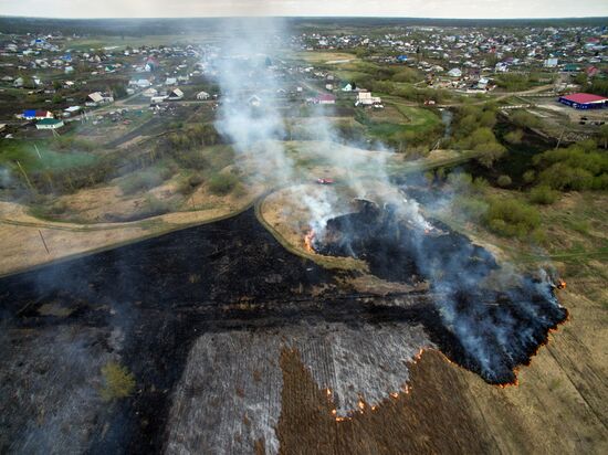 Wildfires in Altai Territory