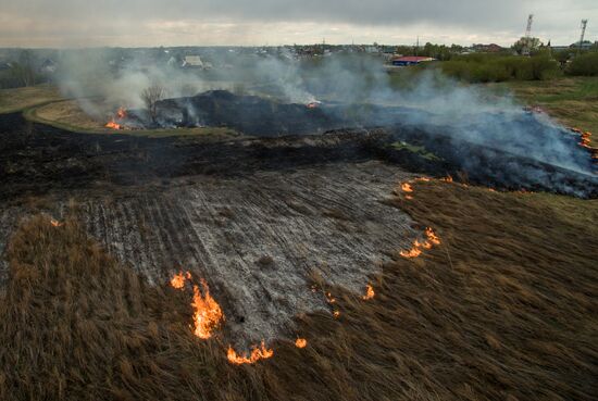 Wildfires in Altai Territory