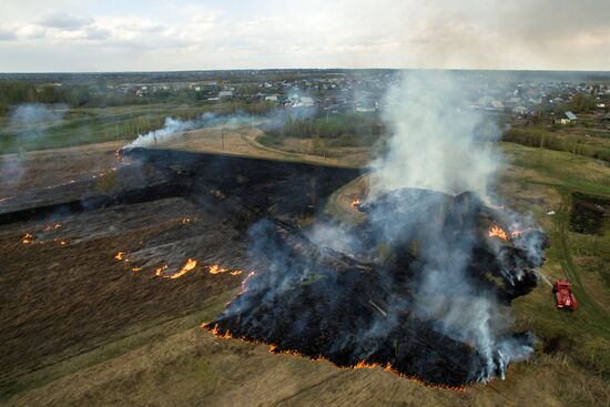 Wildfires in Altai Territory