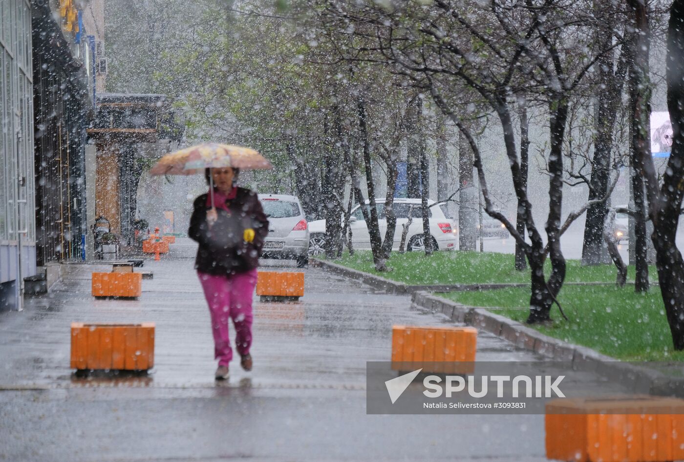 May snowfall in Moscow
