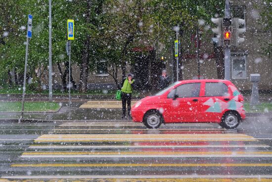 May snowfall in Moscow