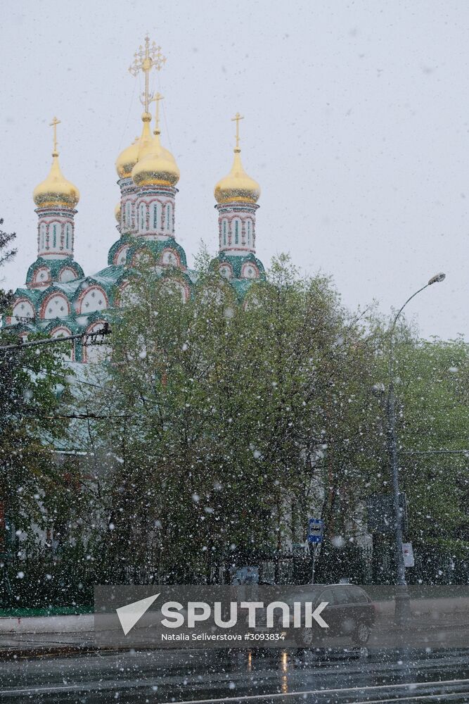 May snowfall in Moscow