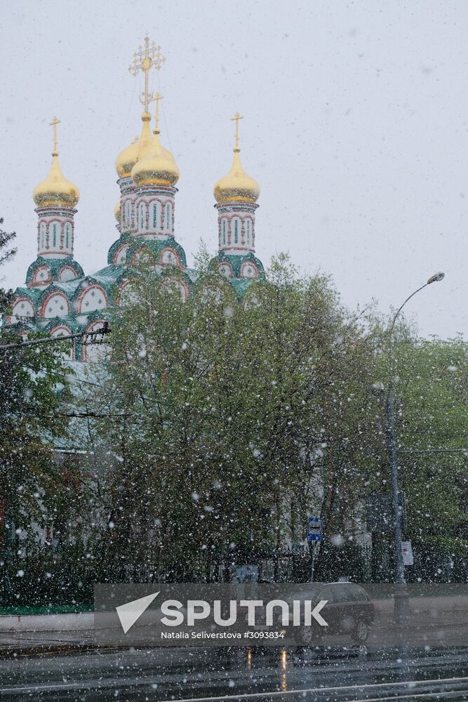 May snowfall in Moscow