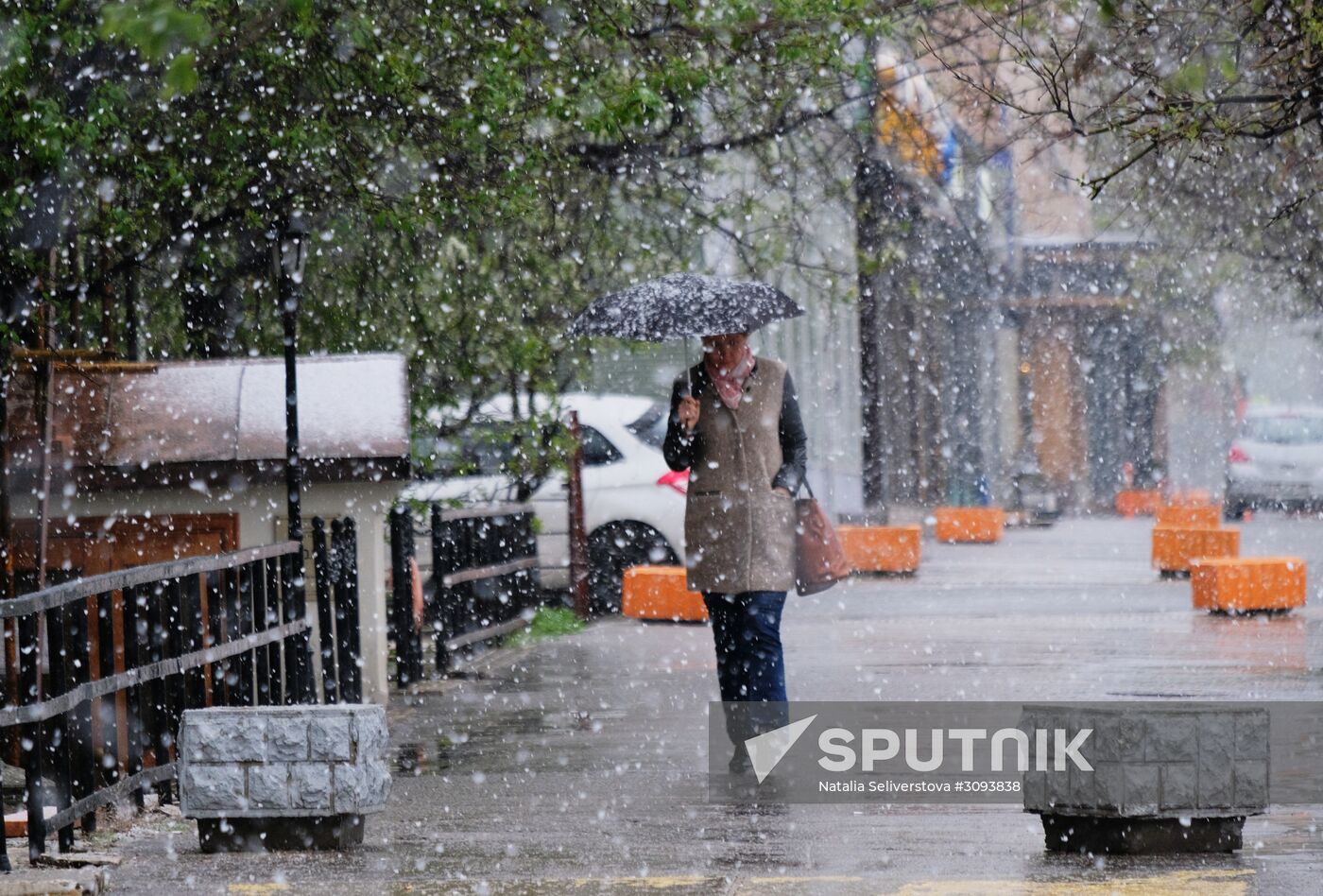 May snowfall in Moscow