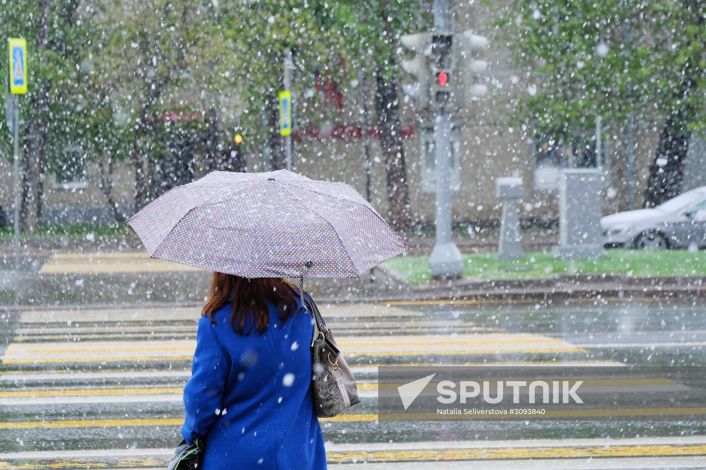 May snowfall in Moscow