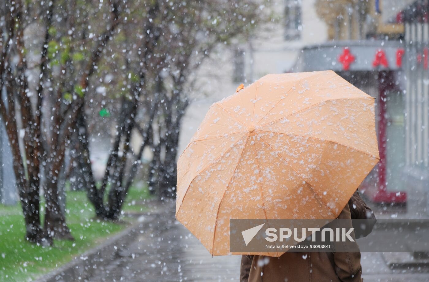 May snowfall in Moscow