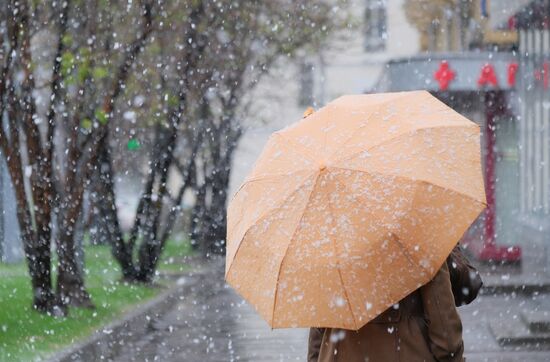 May snowfall in Moscow