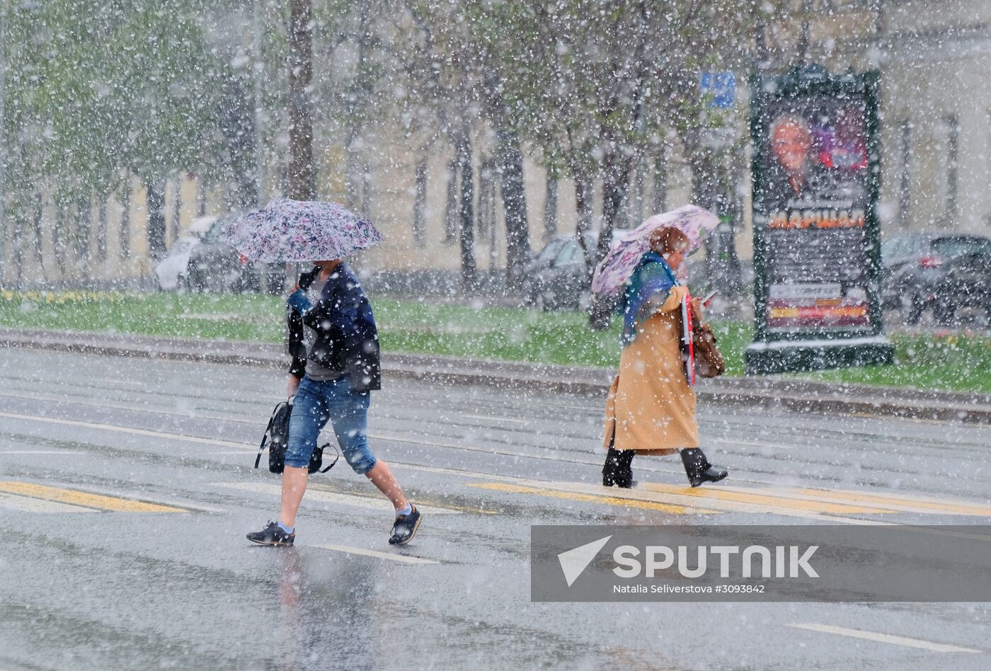May snowfall in Moscow