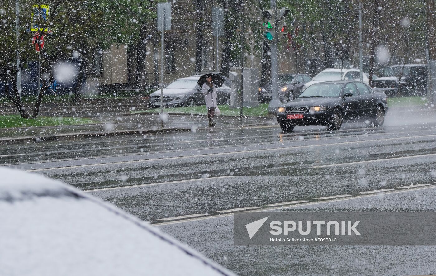 May snowfall in Moscow