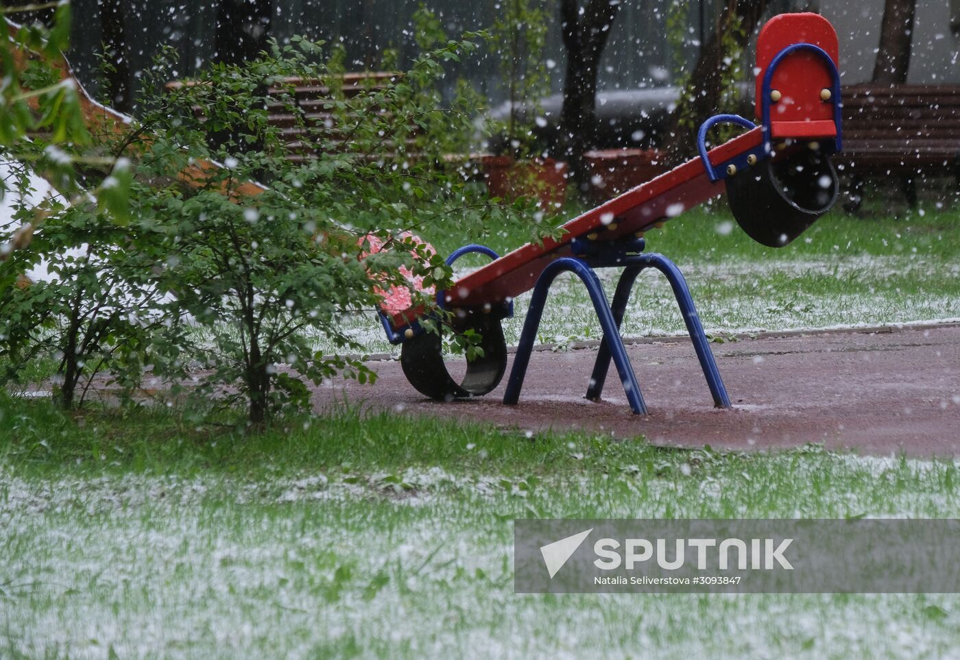 May snowfall in Moscow