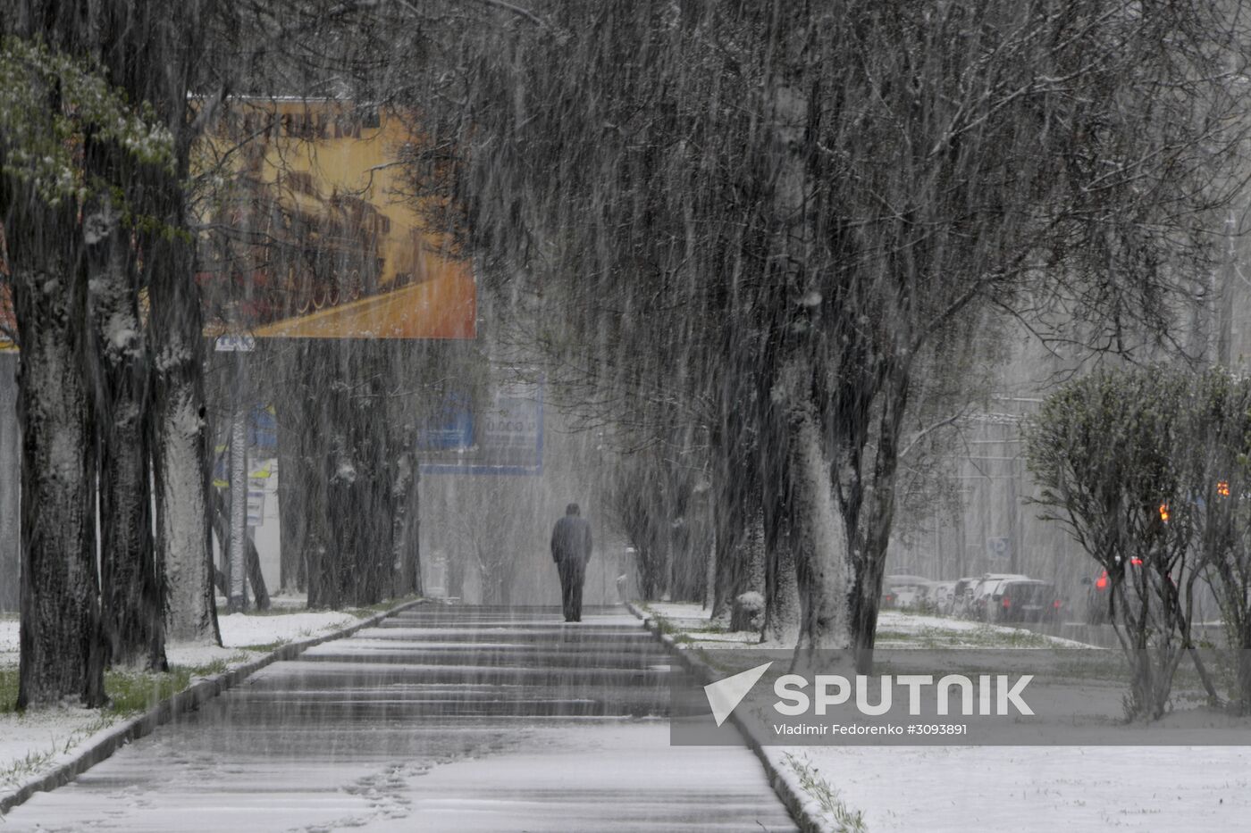 May snowfall in Moscow